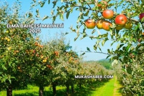 Elma Bahçesi Maliyeti 2025