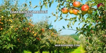 Elma Bahçesi Maliyeti 2025