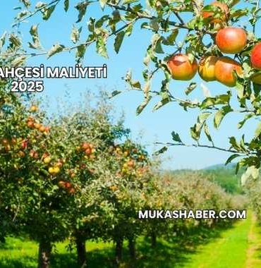 Elma Bahçesi Maliyeti 2025