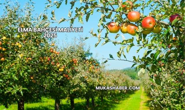 Elma Bahçesi Maliyeti 2025