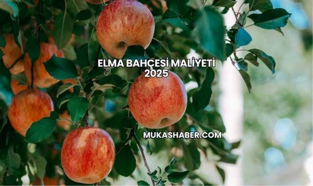 Elma Bahçesi Maliyeti 2025