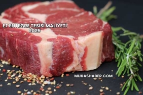 Et Entegre Tesisi Maliyeti 2025