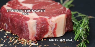 Et Entegre Tesisi Maliyeti 2025