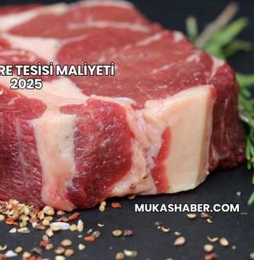 Et Entegre Tesisi Maliyeti 2025