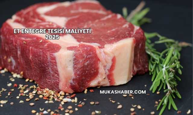 Et Entegre Tesisi Maliyeti 2025