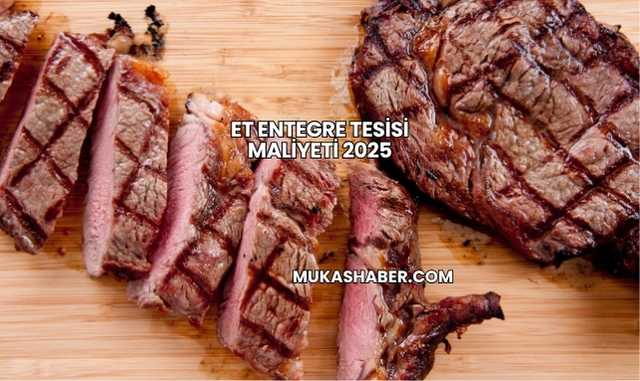 Et Entegre Tesisi Maliyeti 2025