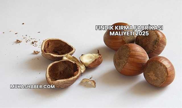 Fındık Kırma Fabrikası Maliyeti 2025