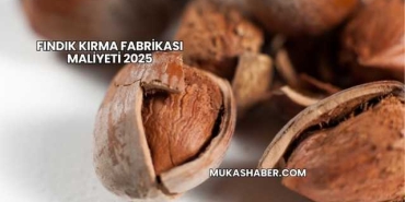 Fındık Kırma Fabrikası Maliyeti 2025