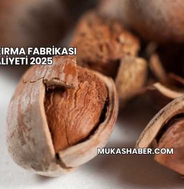 Fındık Kırma Fabrikası Maliyeti 2025