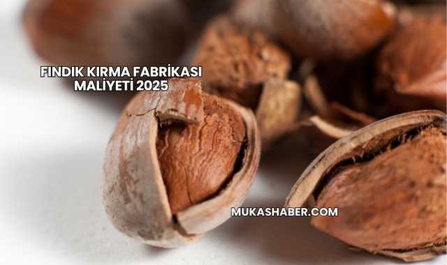 Fındık Kırma Fabrikası Maliyeti 2025