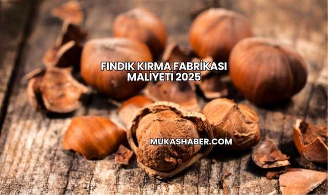 Fındık Kırma Fabrikası Maliyeti 2025