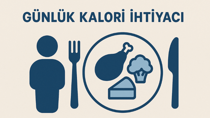 Günlük Kalori İhtiyacı Hesaplama