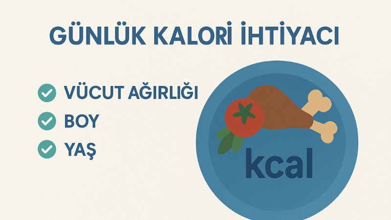 Günlük Kalori İhtiyacı Hesaplama