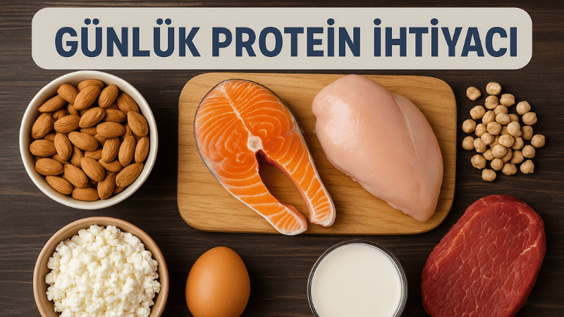 Günlük Protein İhtiyacı Hesaplama