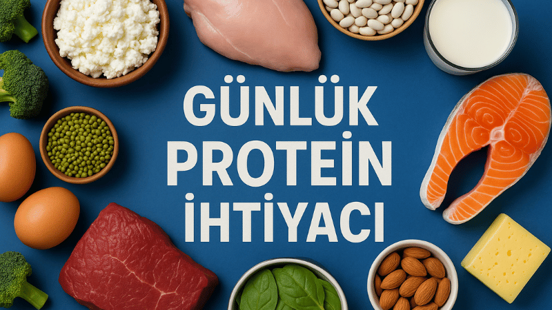 Günlük Protein İhtiyacı Hesaplama