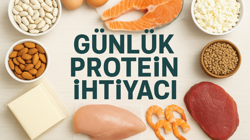 Günlük Protein İhtiyacı Hesaplama