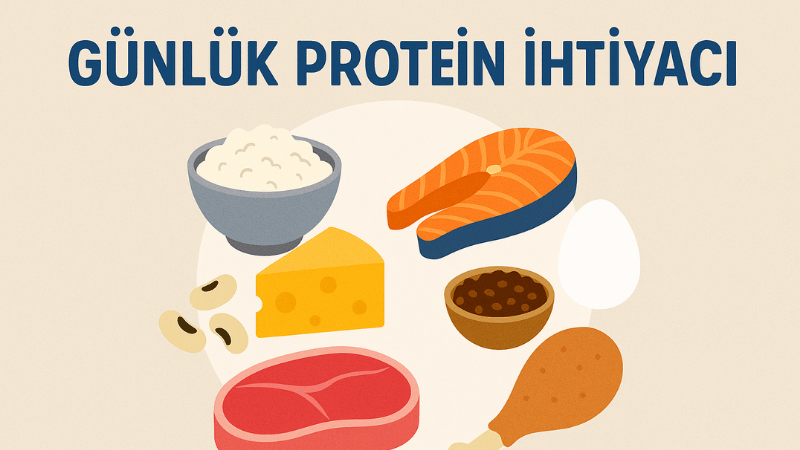 Günlük Protein İhtiyacı Hesaplama