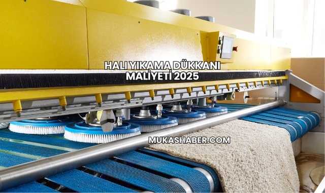 Halı Yıkama Dükkanı Maliyeti 2025
