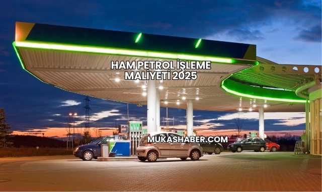 Ham Petrol İşleme Maliyeti 2025