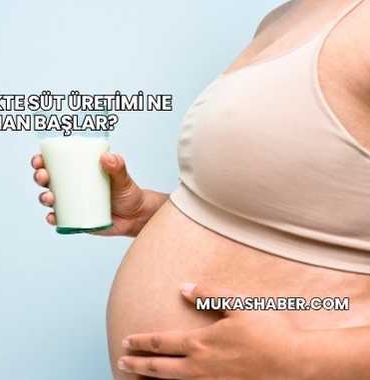 Hamilelikte Süt Üretimi Ne Zaman Başlar?