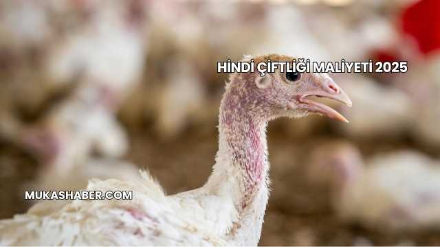 Hindi Çiftliği Maliyeti 2025