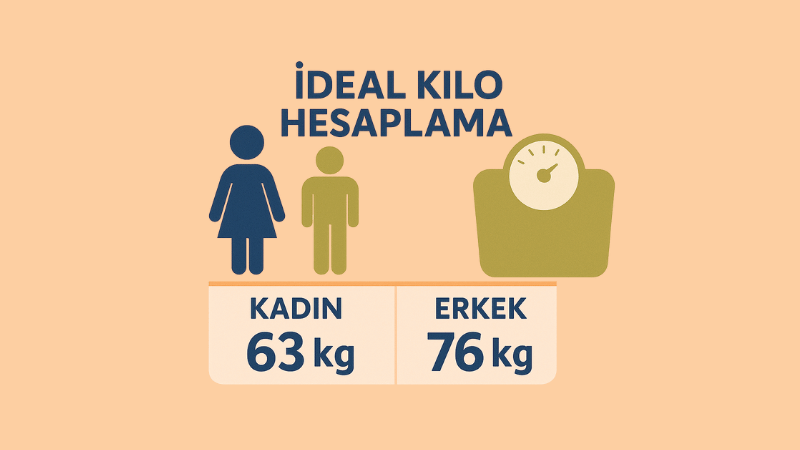 İdeal Kilo Hesaplama