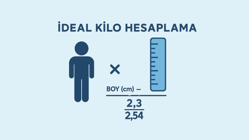 İdeal Kilo Hesaplama