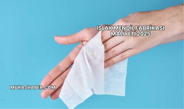 Islak Mendil Fabrikası Maliyeti 2025