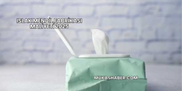 Islak Mendil Fabrikası Maliyeti 2025