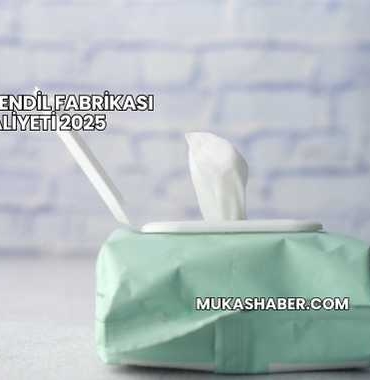 Islak Mendil Fabrikası Maliyeti 2025