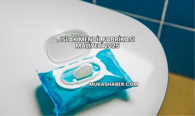 Islak Mendil Fabrikası Maliyeti 2025