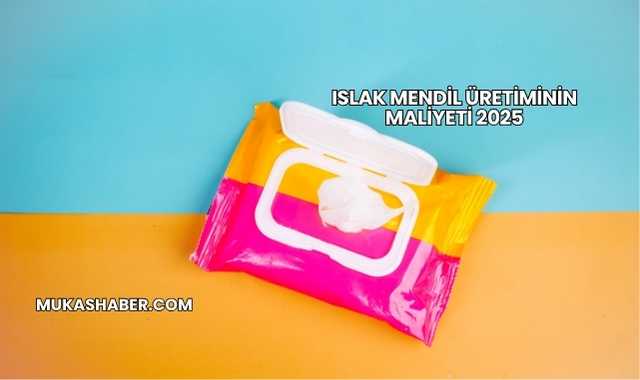 Islak Mendil Üretiminin Maliyeti 2025