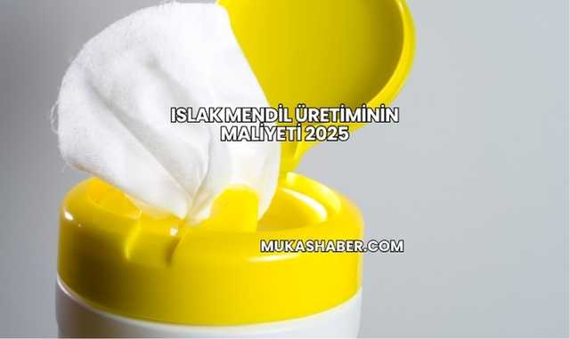 Islak Mendil Üretiminin Maliyeti 2025