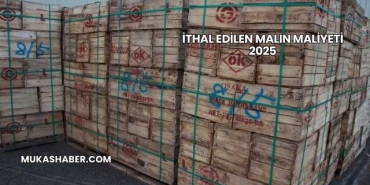 İthal Edilen Malın Maliyeti 2025