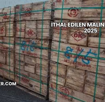 İthal Edilen Malın Maliyeti 2025