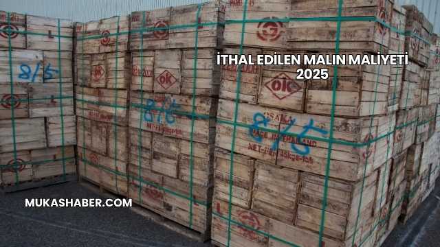 İthal Edilen Malın Maliyeti 2025