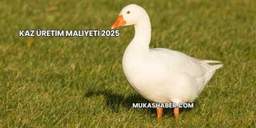 Kaz Üretim Maliyeti 2025