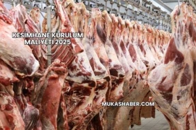 Kesimhane Kurulum Maliyeti 2025