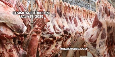 Kesimhane Kurulum Maliyeti 2025