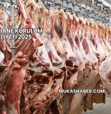 Kesimhane Kurulum Maliyeti 2025
