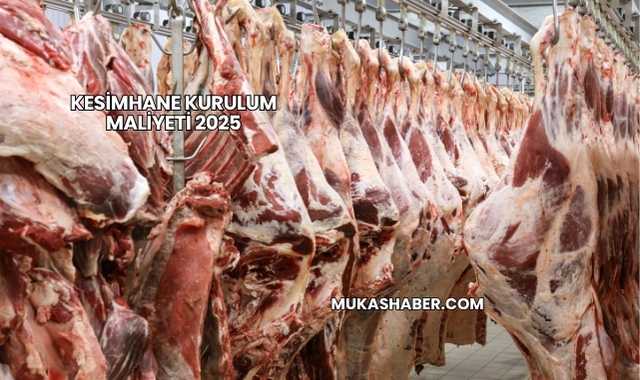 Kesimhane Kurulum Maliyeti 2025
