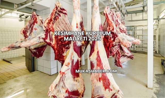 Kesimhane Kurulum Maliyeti 2025