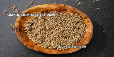 Kimyon Ekimi Maliyeti 2025