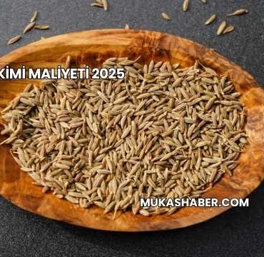 Kimyon Ekimi Maliyeti 2025