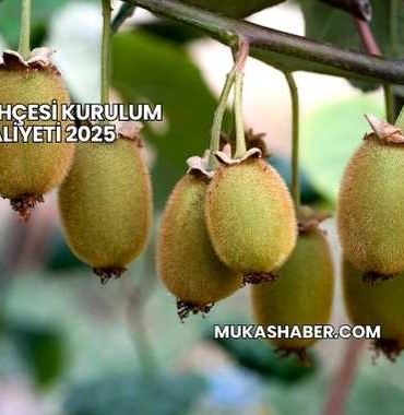 Kivi Bahçesi Kurulum Maliyeti 2025