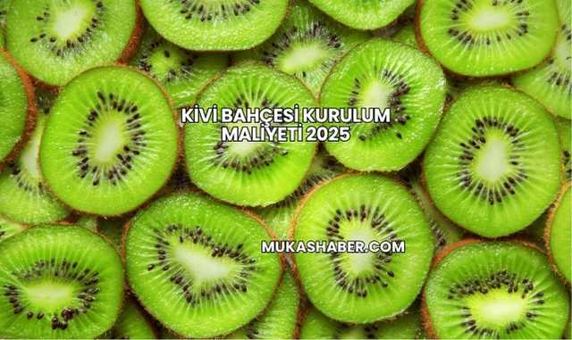 Kivi Bahçesi Kurulum Maliyeti 2025