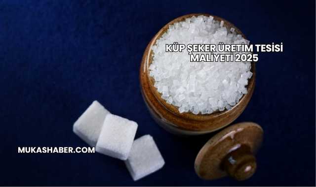 Küp Şeker Üretim Tesisi Maliyeti 2025