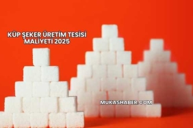 Küp Şeker Üretim Tesisi Maliyeti 2025
