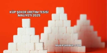 Küp Şeker Üretim Tesisi Maliyeti 2025