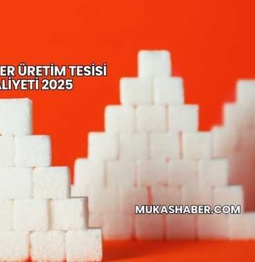 Küp Şeker Üretim Tesisi Maliyeti 2025